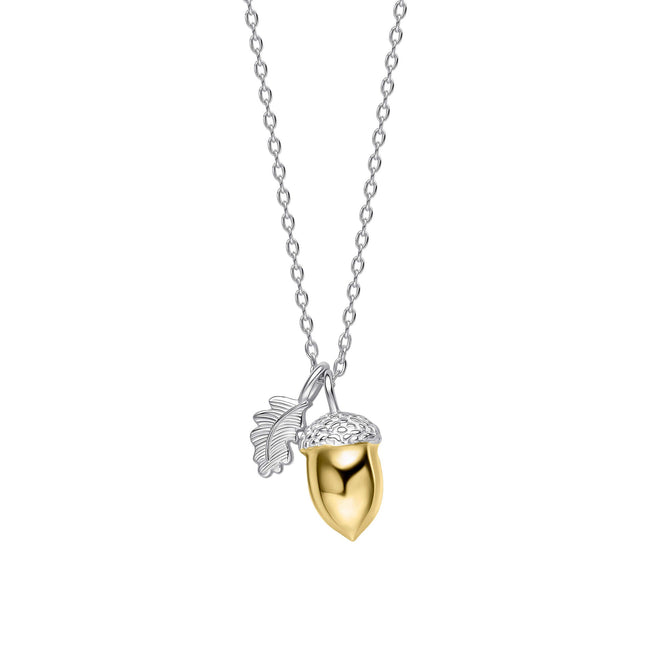 Laura Ashley Silver Broadoak Acorn Necklace