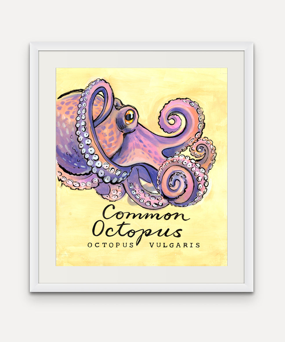 Common Octopus - Cornish Sea Life Series -  Giclée Print
