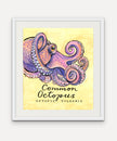 Common Octopus - Cornish Sea Life Series -  Giclée Print