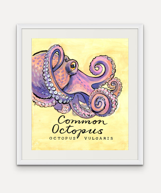 Common Octopus - Cornish Sea Life Series -  Giclée Print