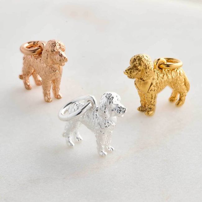 Dije plateado de perro labradoodle