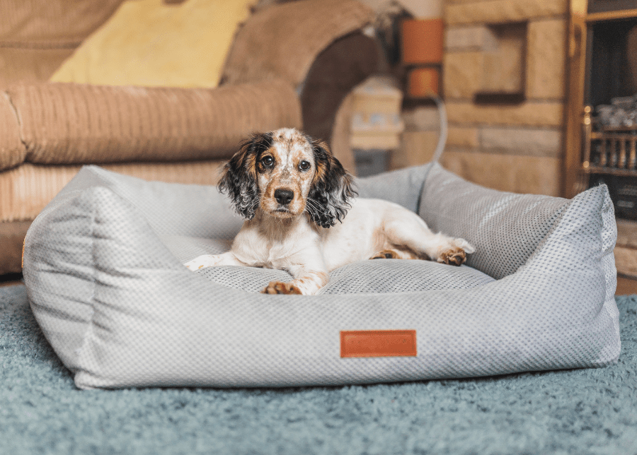 THE HIGHCLERE | LUXUS-HUNDEBETT MIT VISCOSCHAUM UND NACKENROLLE