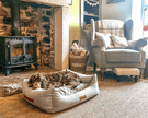 THE HIGHCLERE | LUXUS-HUNDEBETT MIT VISCOSCHAUM UND NACKENROLLE
