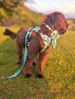 Otterly Lovely 5ft dog lead