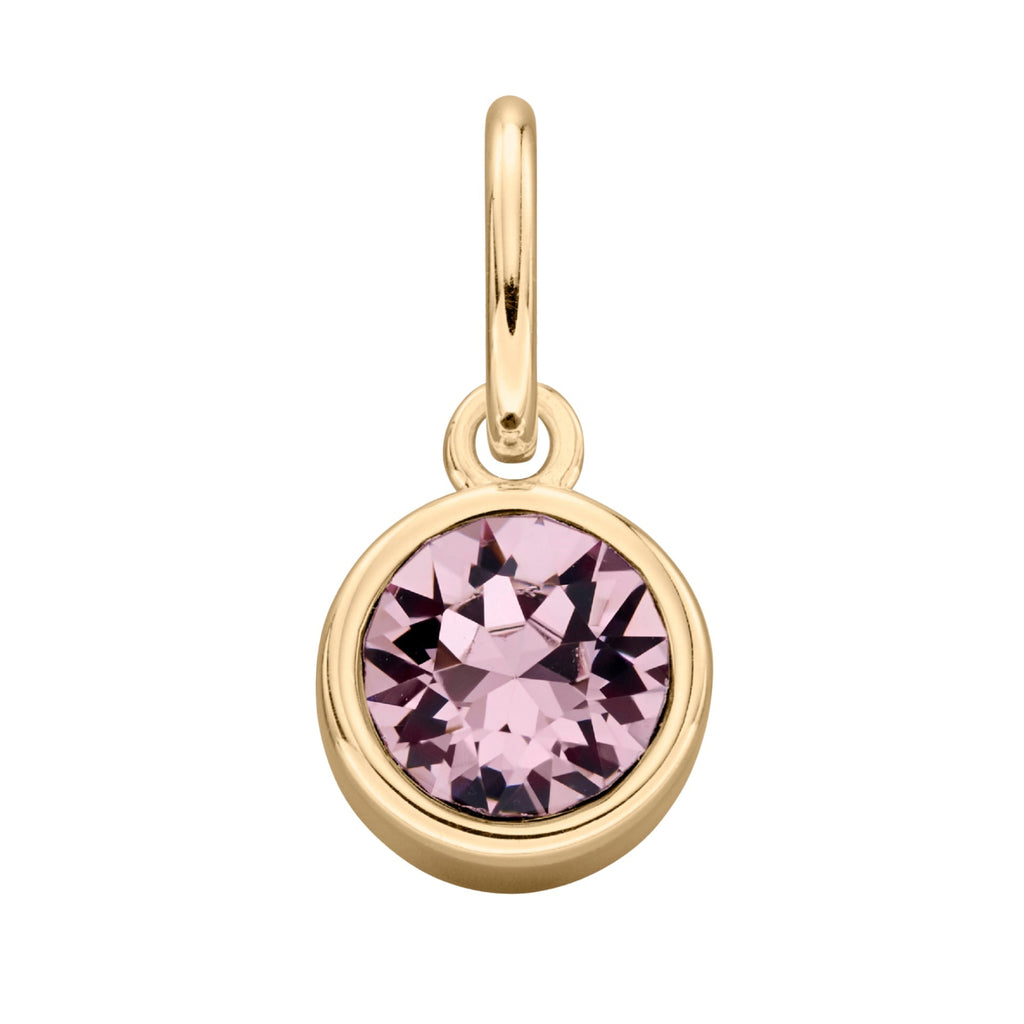 Beginnings Crystal Birthstone Charm