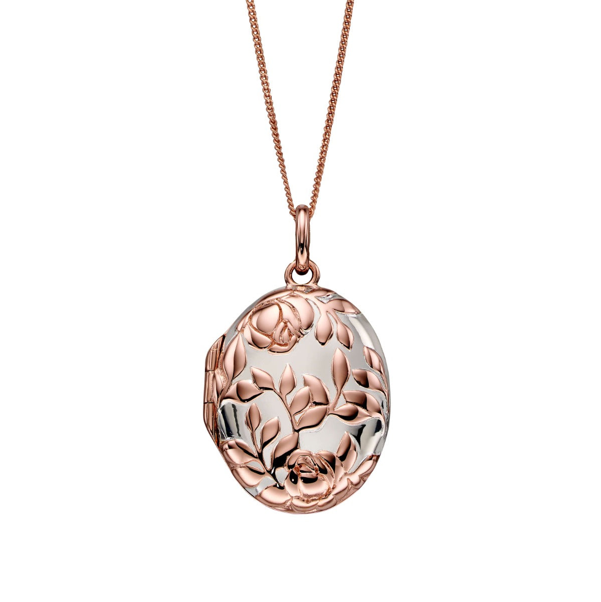 Anfänge Rosenbusch Medaillon