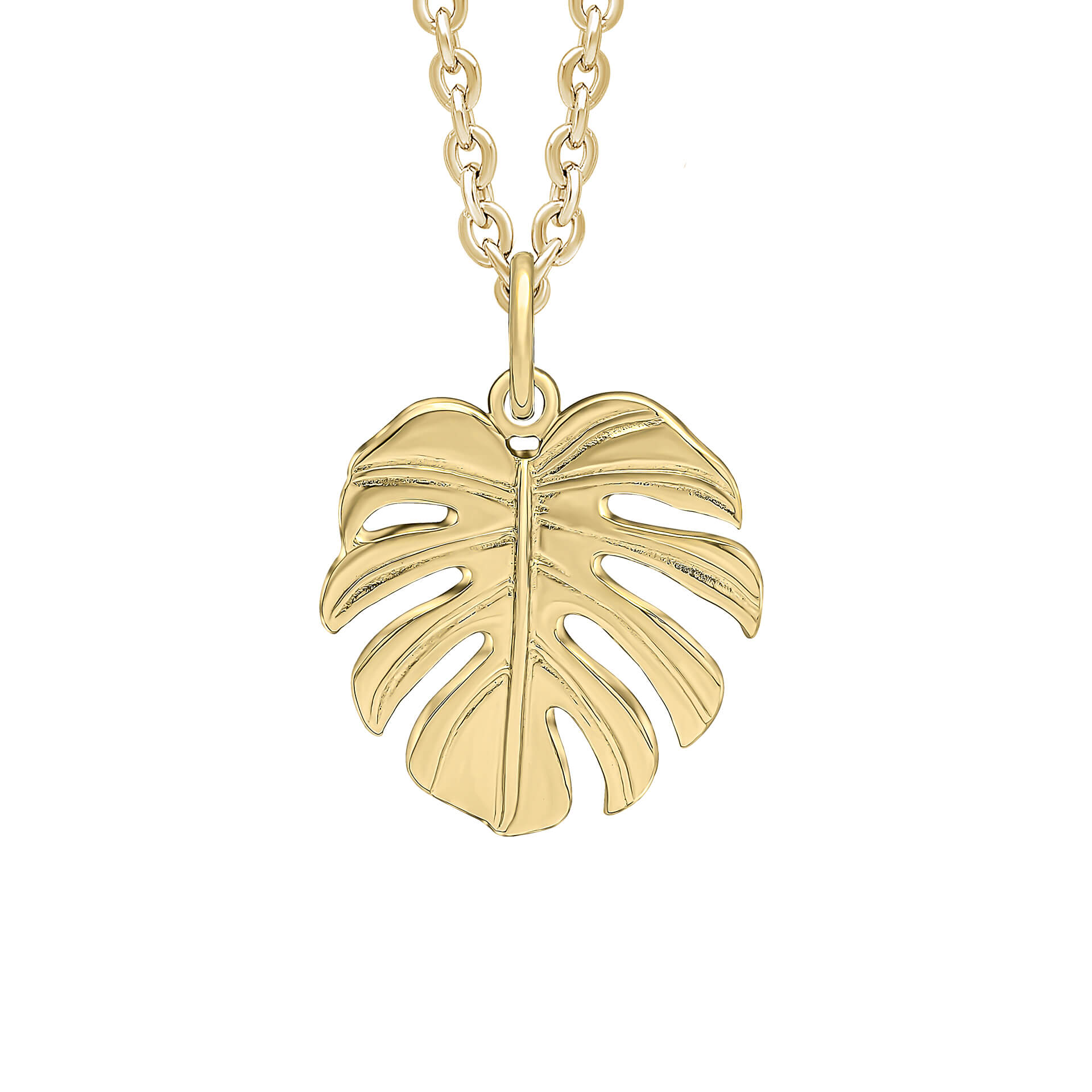 Anfänge Monstera-Blatt-Anhänger