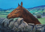 Painting of Peter's Horse from Healaugh