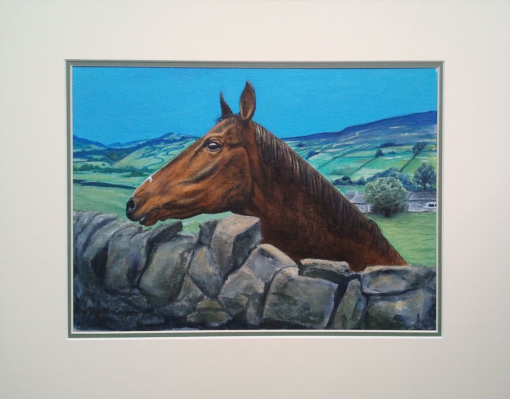 Painting of Peter's Horse from Healaugh