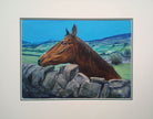 Painting of Peter's Horse from Healaugh