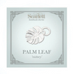 Monstera Palm Leaf Silver Charm