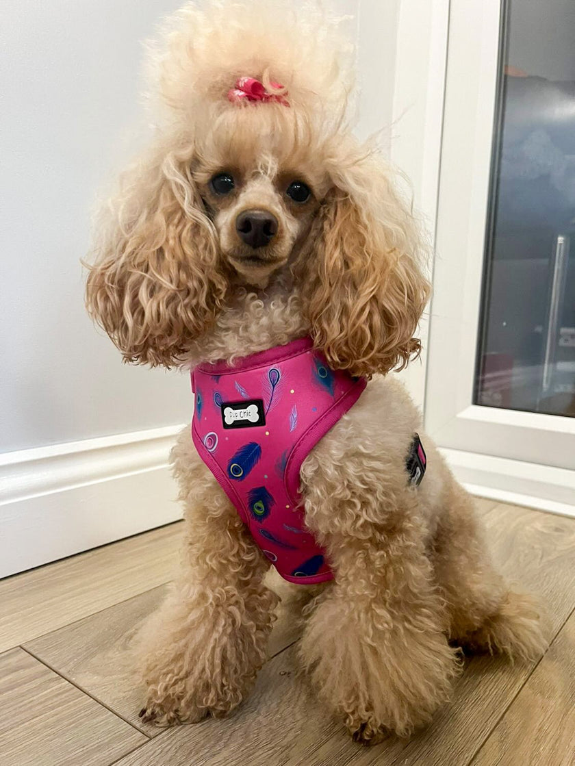 Peacock Power Adjustable Dog Harness - hot pink peacock feather dog harness