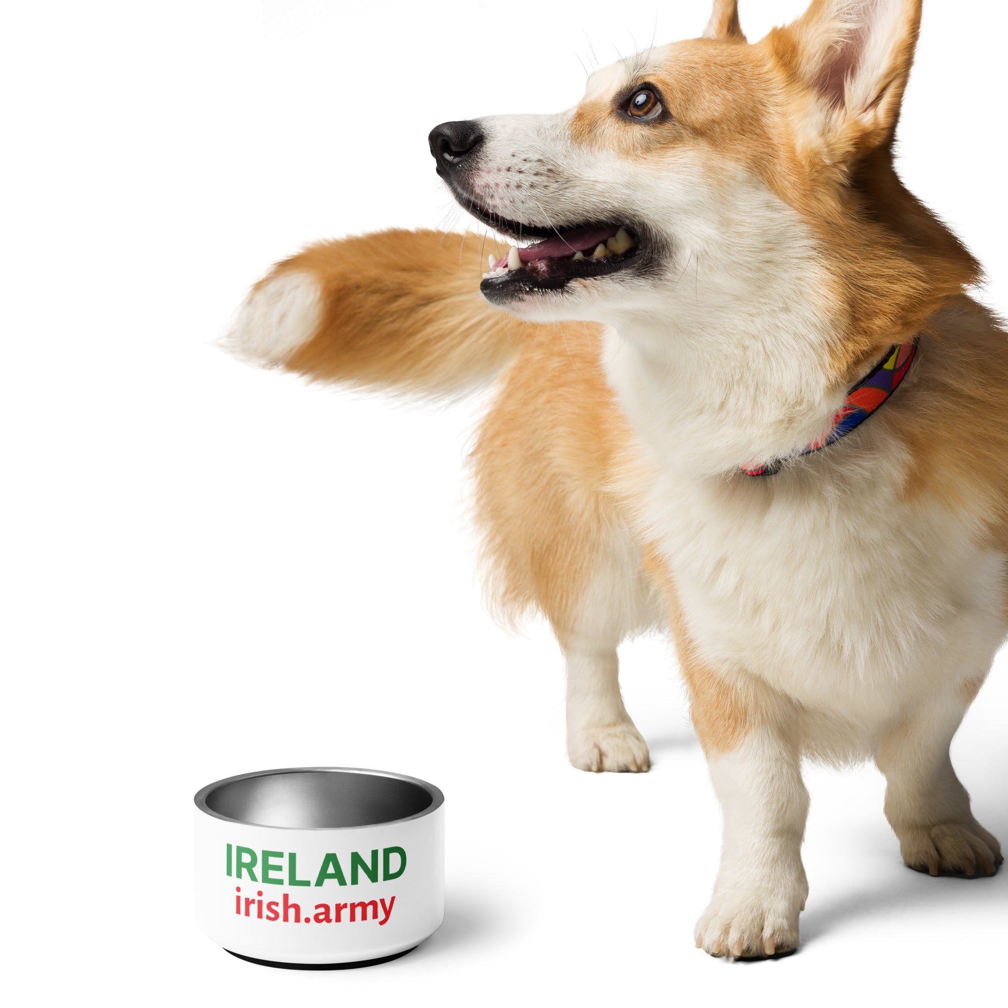 IRELAND - Pet Bowl