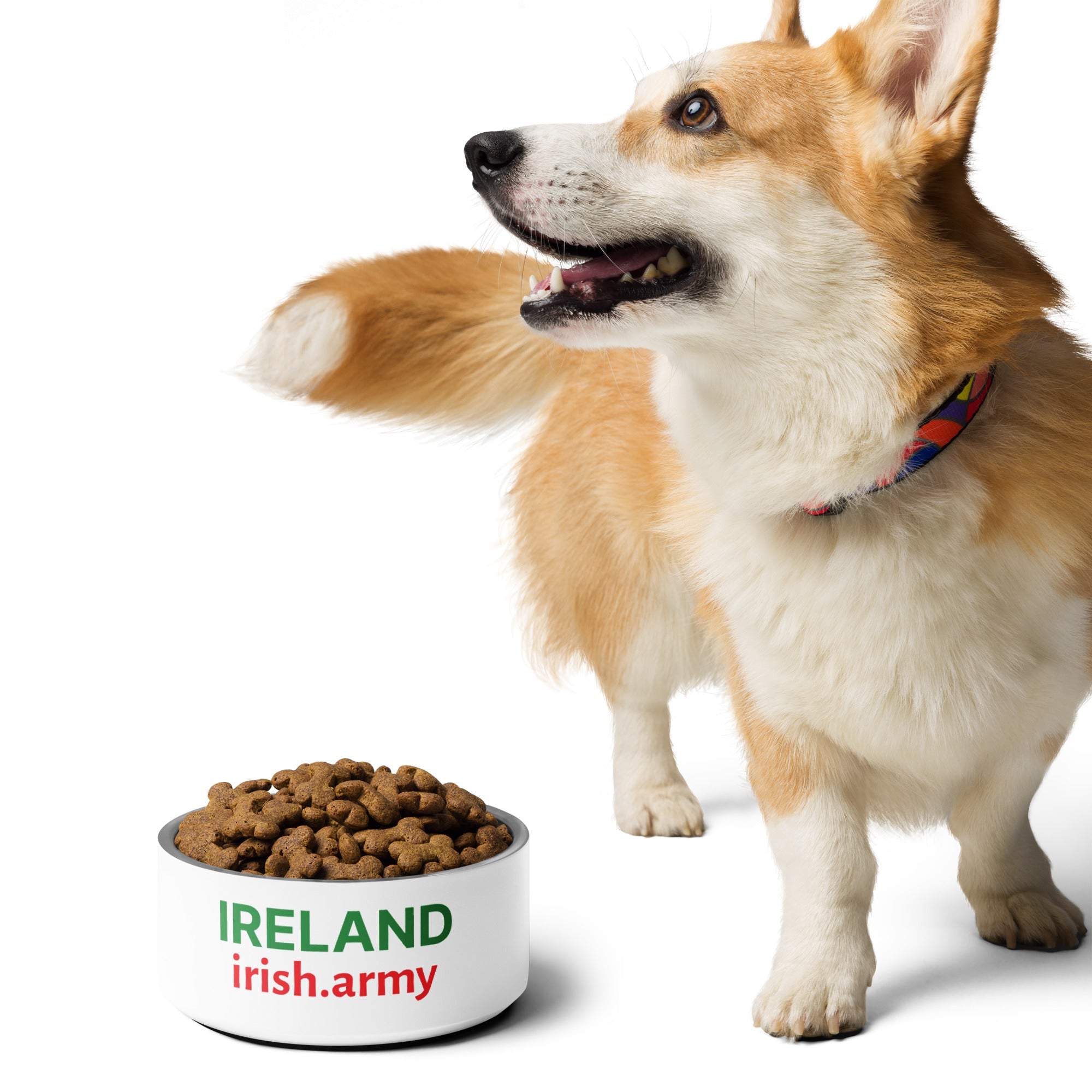 IRELAND - Pet Bowl