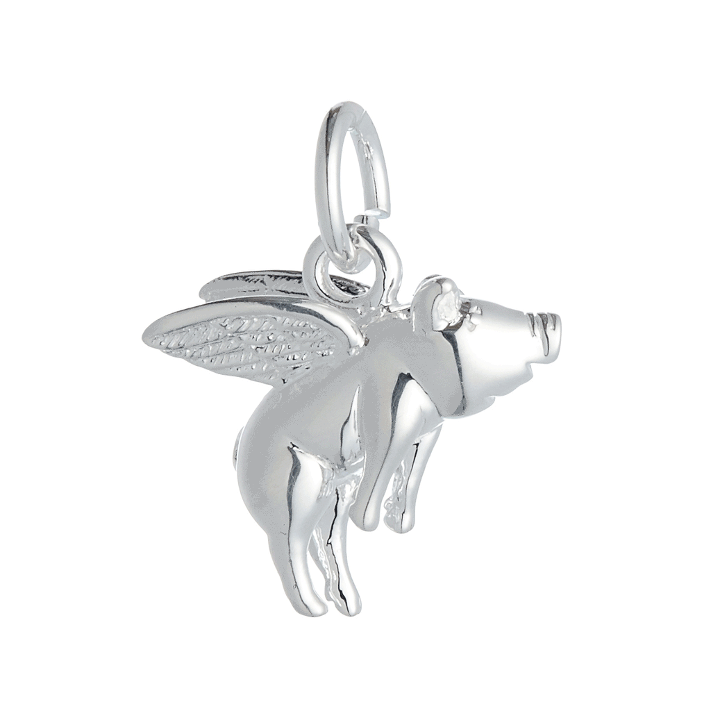 Pigs Might Fly Silver Charm