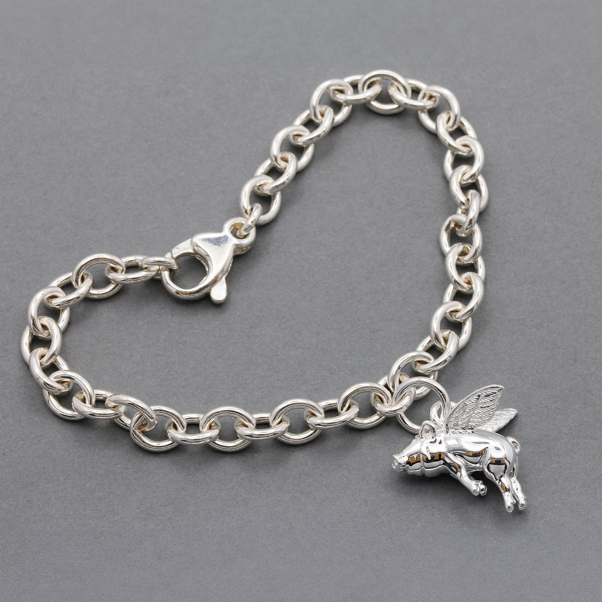 Pigs Might Fly Silver Charm