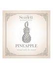 Pineapple Silver Charm