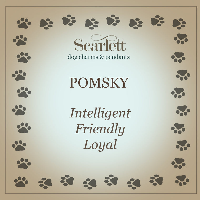 Pomsky Personalised Silver Dog Tag Necklace
