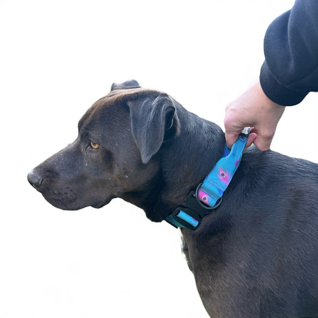 Power Peacock Tactical Dog Collar