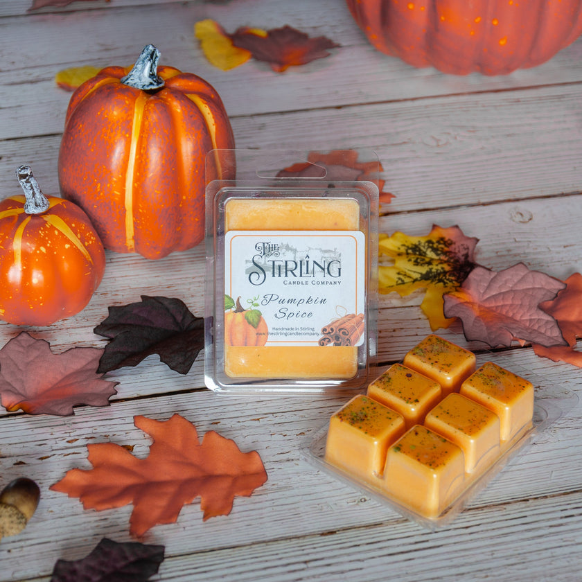 Calabaza Especiada - Cera para Fundir Clamshell