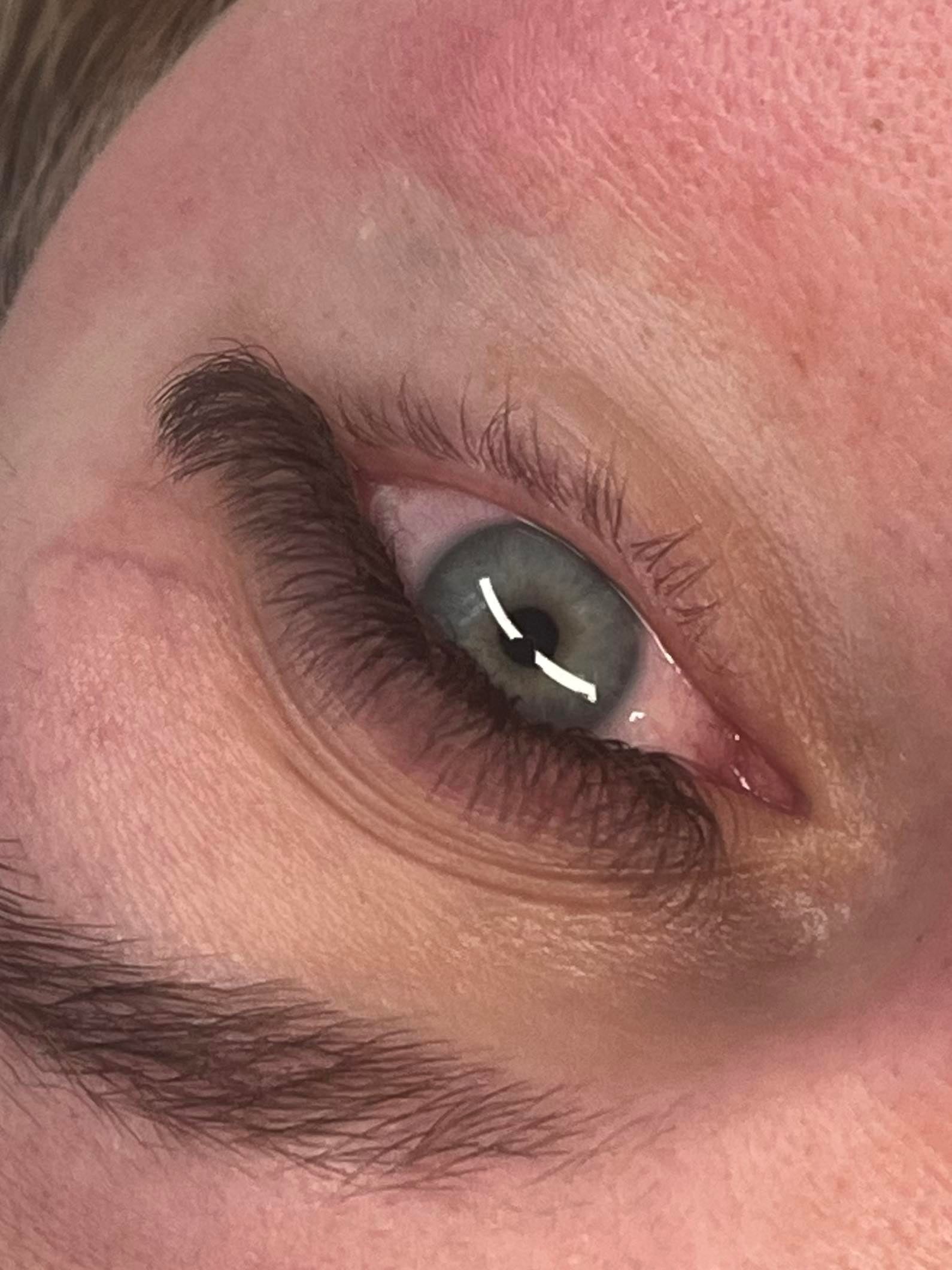 Brown 4D Clover Single Length 16 Row Tray