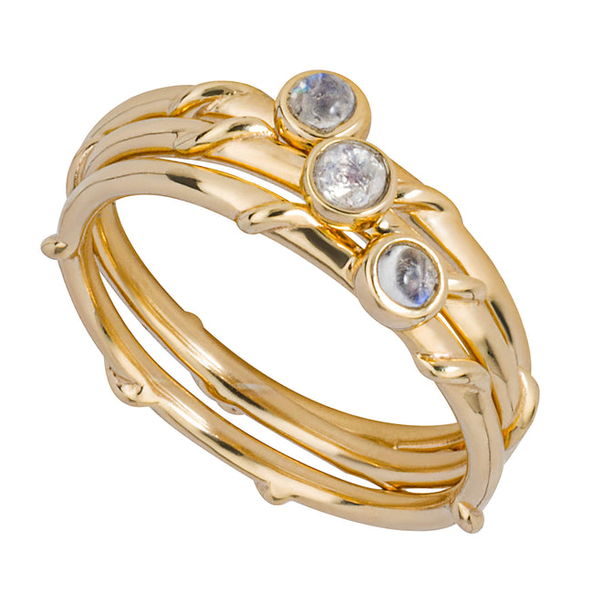 Juego de Anillos Apilables Triples Beginnings