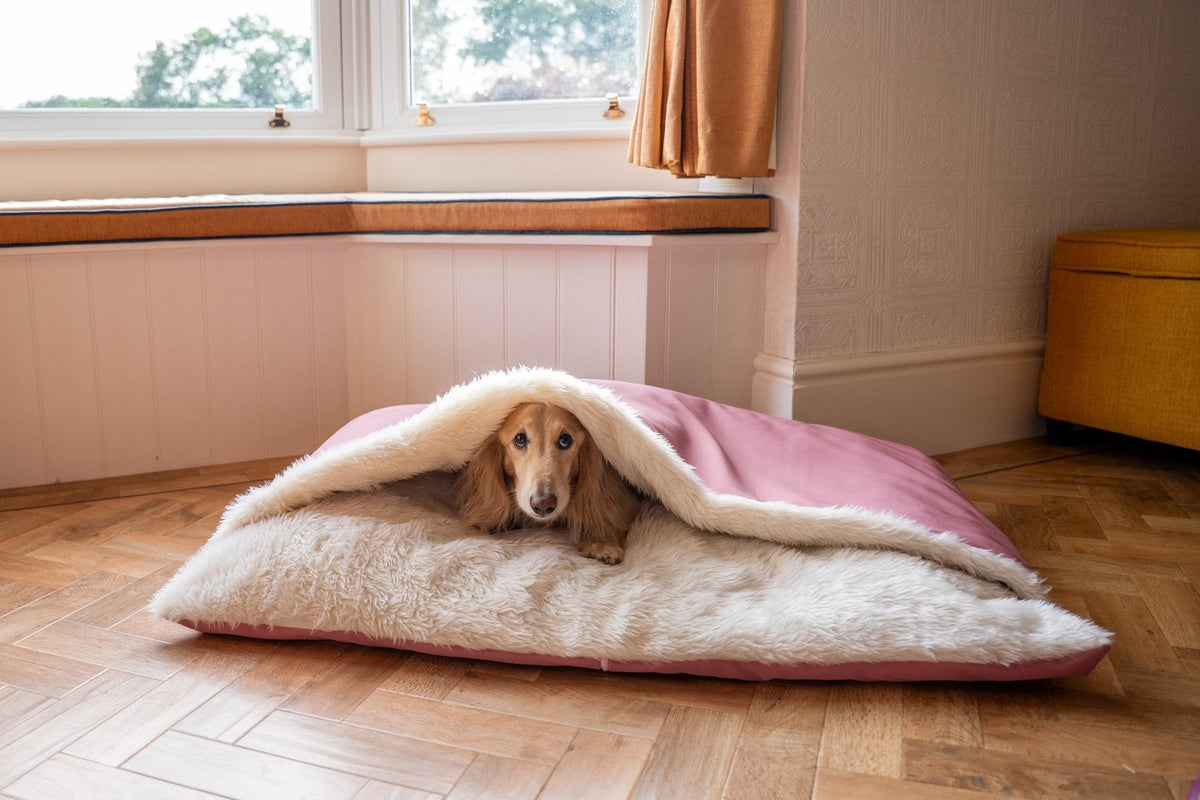 Rainfleece Waterproof Dog Design-a-Den Bed - Ready Made