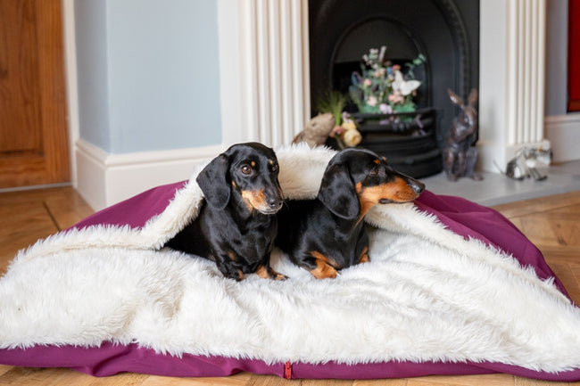 Rainfleece Waterproof Dog Design-a-Den Bed - Ready Made