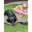 Rainfleece Waterproof Dog Walkies Mat - Ready Made