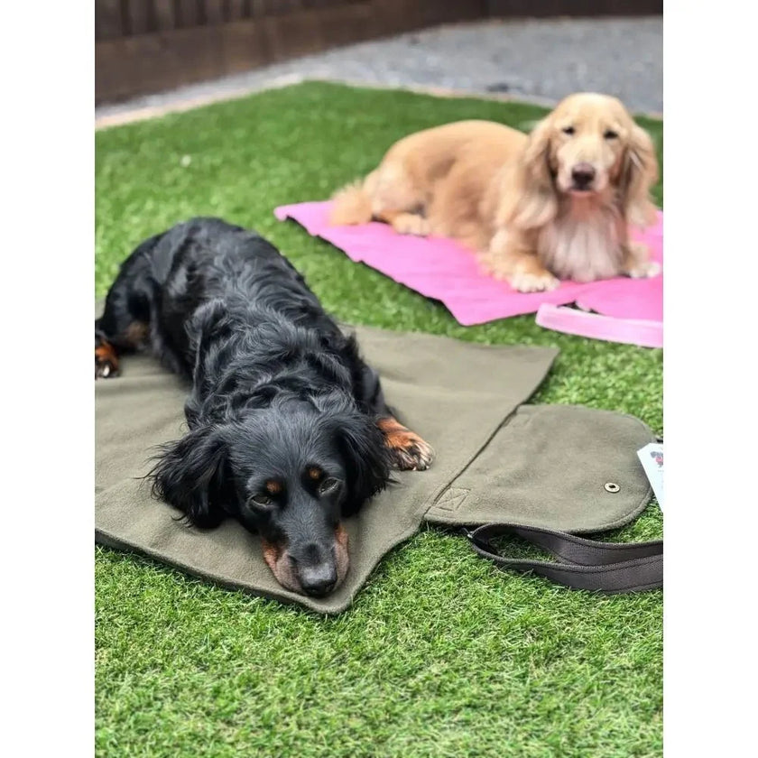 Rainfleece Waterproof Dog Walkies Mat - Ready Made