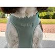 Standard Size Rainfleece Waterproof Step-In Dog Harness - Standard Sizes, Ready Made