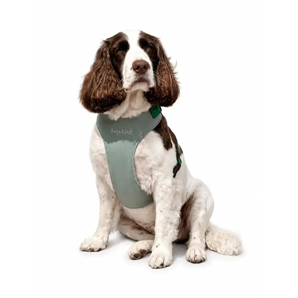 Standard Size Rainfleece Waterproof Step-In Dog Harness - Standard Sizes, Ready Made