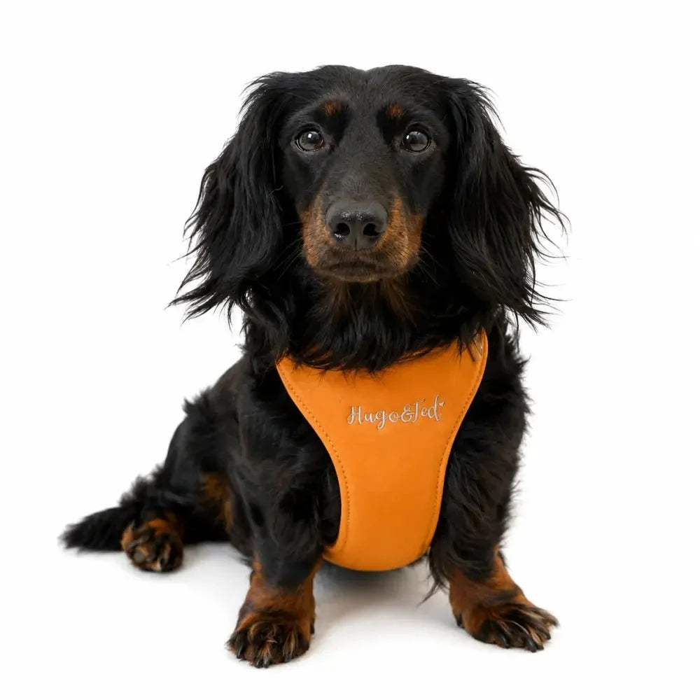 Standard Size Rainfleece Waterproof Step-In Dog Harness - Standard Sizes, Ready Made