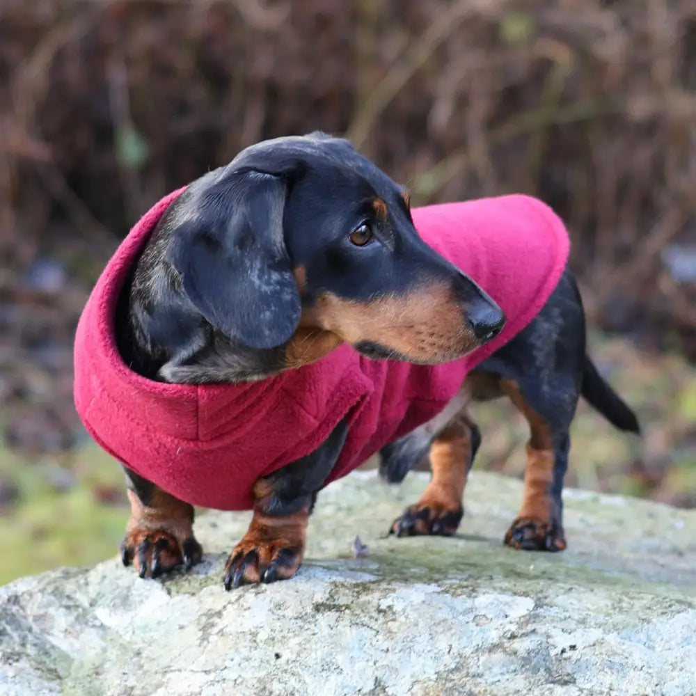 Standard Sized Fleece Snuggle Jumper - Ready to Ship | Hugo and Ted