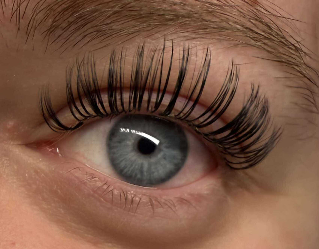 Platinum Volume Lashes 16 Row Mixed Tray