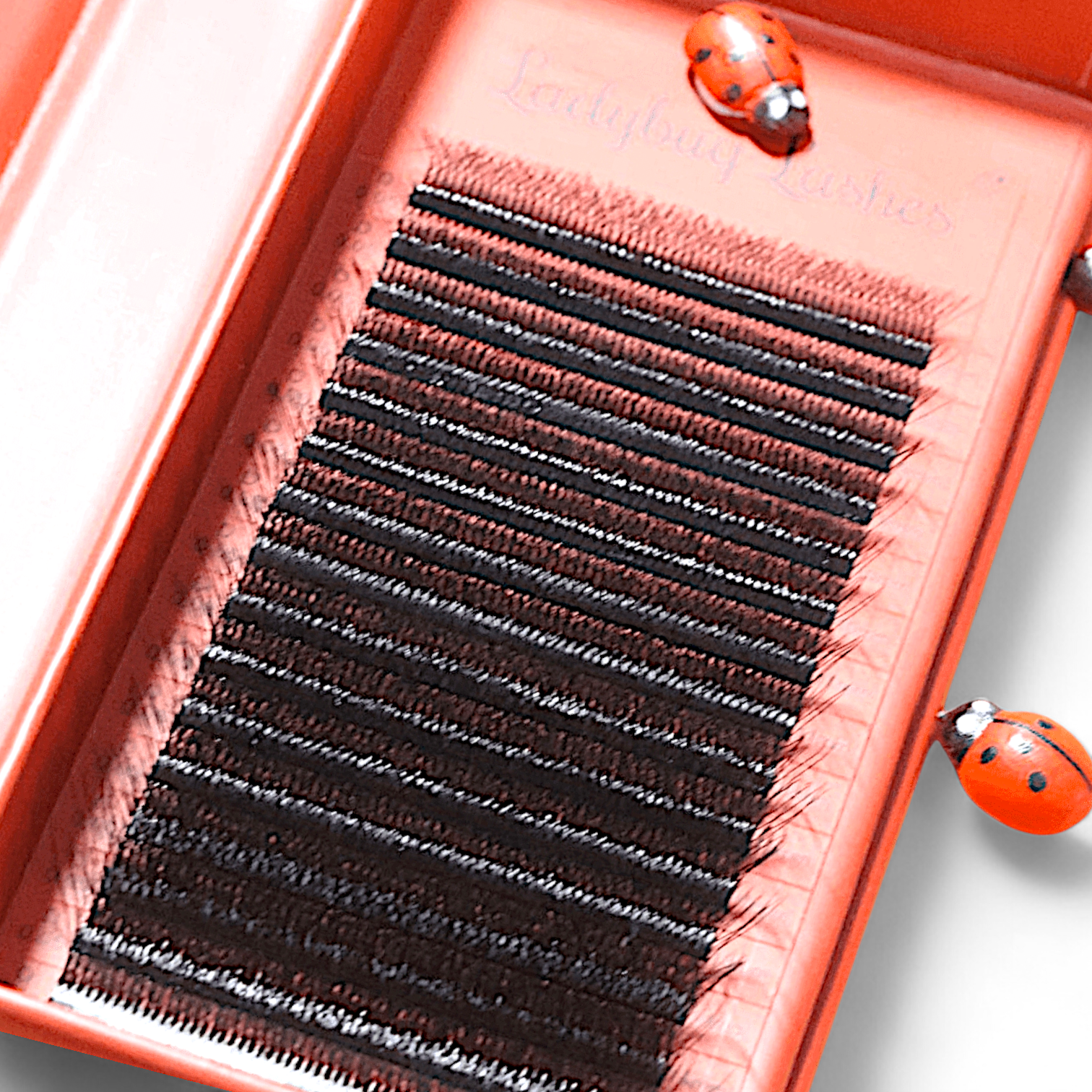8D Clover Lash 16 Row Mixed Tray
