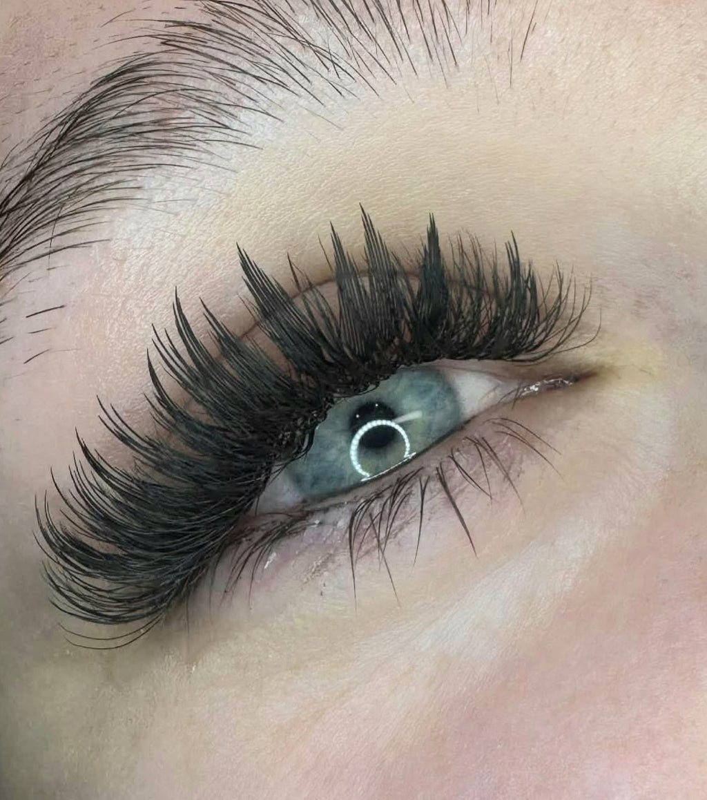 Sample Anime Feather Lash Tray