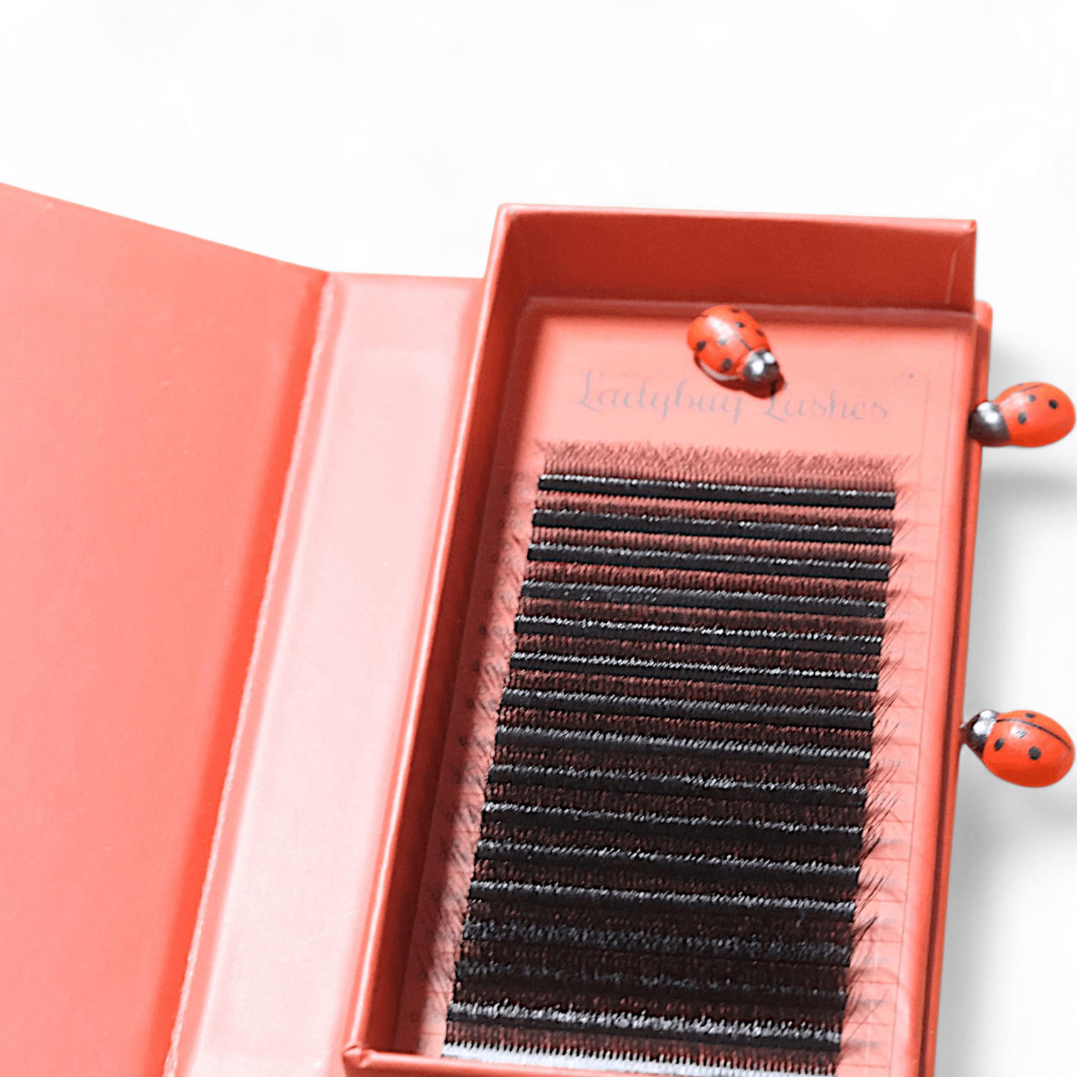 8D Clover Lash 16 Row Mixed Tray