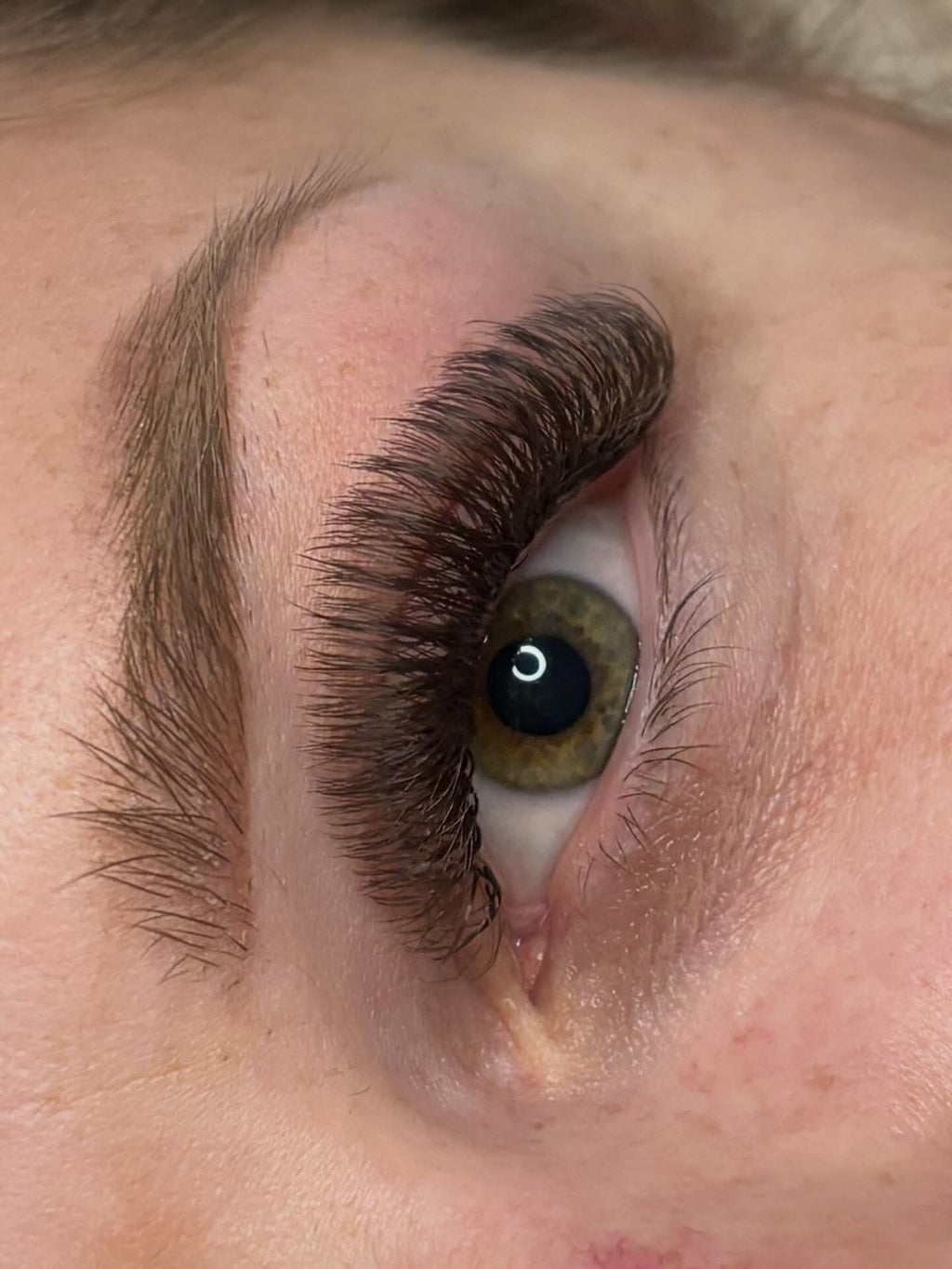 Brown Fairy Lash 16 Row Mixed Tray