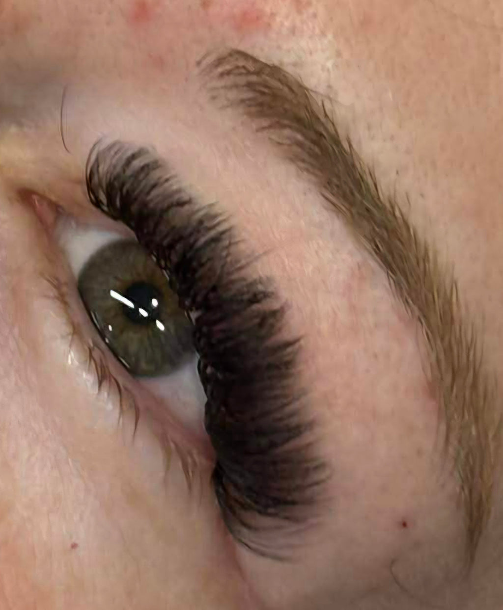 Sample Volume Lash Tray