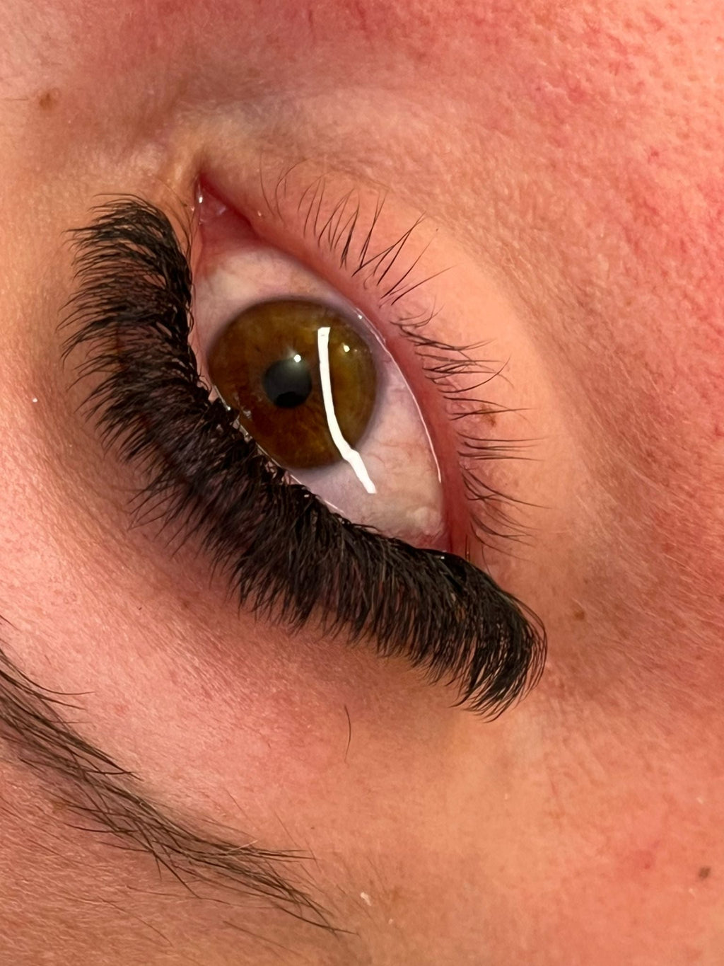 8D Clover Lash 16 Row Mixed Tray