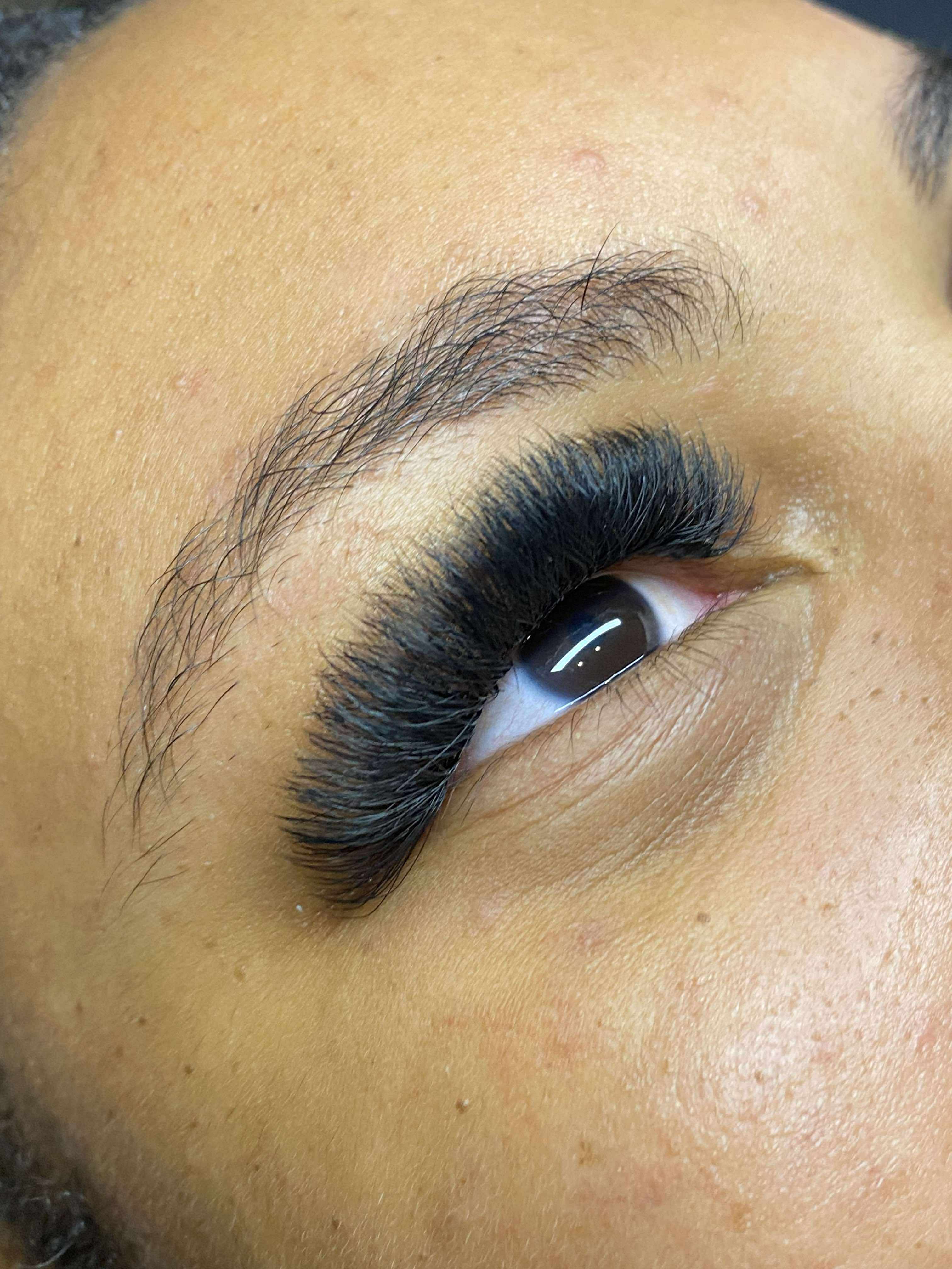 8D Clover Lash 16 Row Mixed Tray
