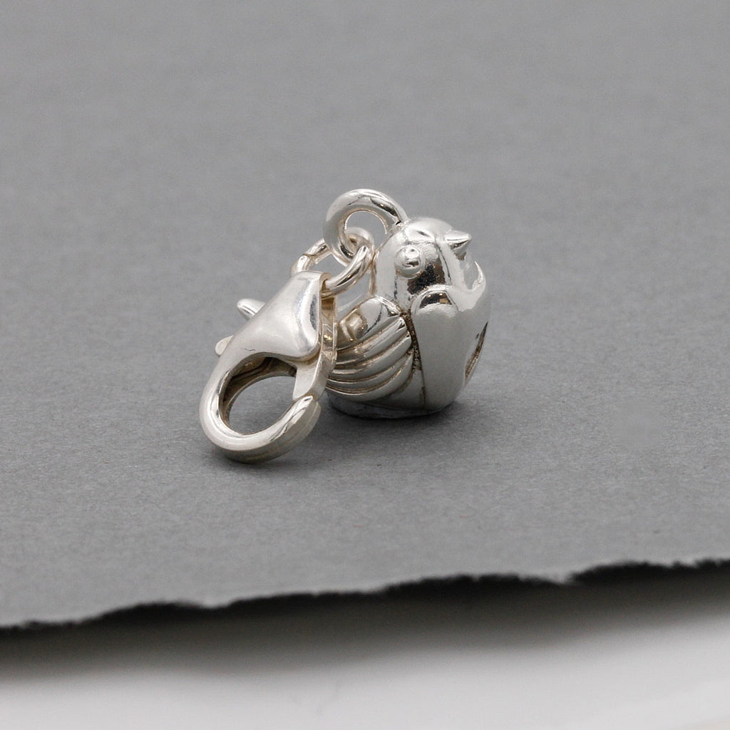 Robin Silver Charm