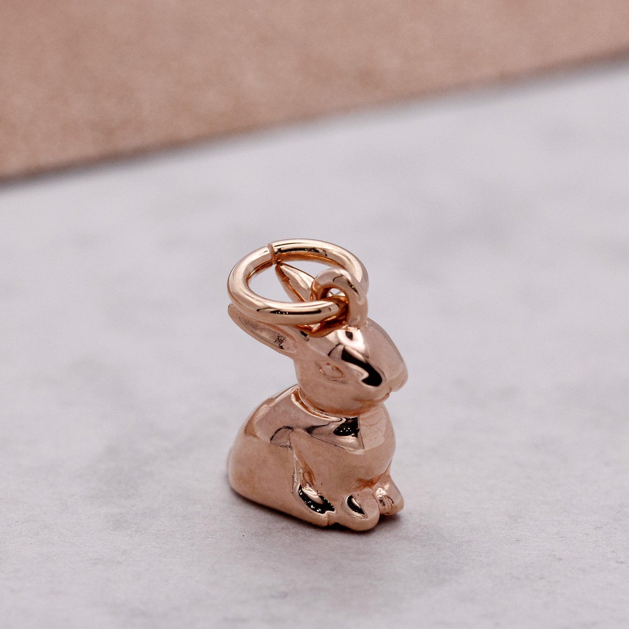 Bunny Rabbit Silver Charm