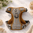 Rugged Rover™ Harness - Foxbury Plaid