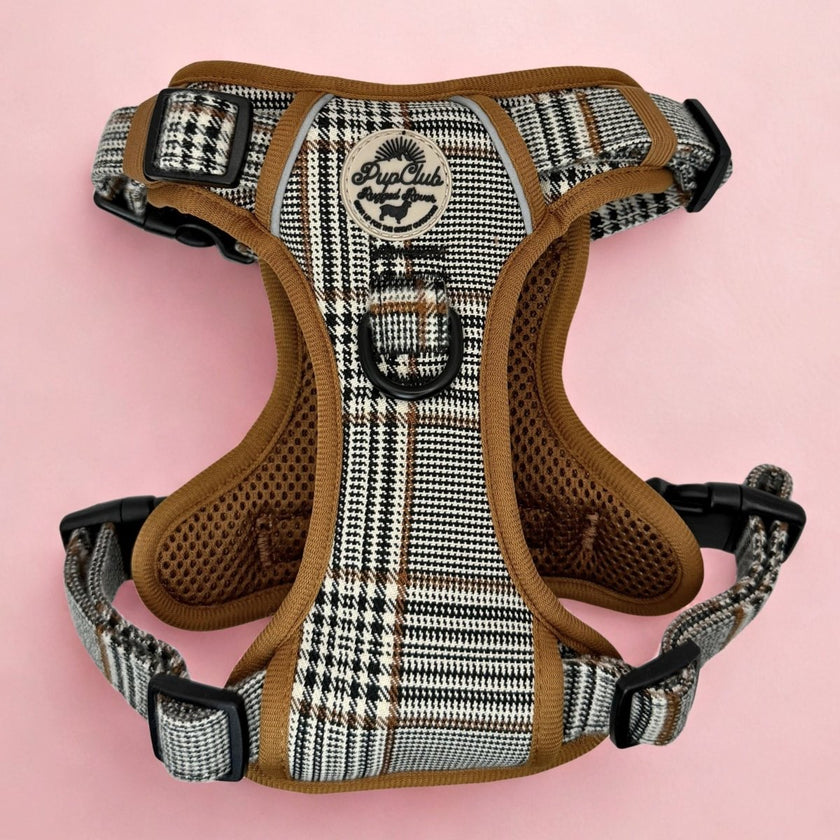 Rugged Rover™ Harness - Foxbury Plaid