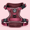 Rugged Rover™ Harness - Berry Tweed