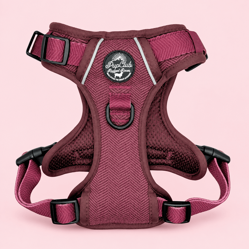 Rugged Rover™ Harness - Berry Tweed
