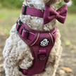 Rugged Rover™ Harness - Berry Tweed
