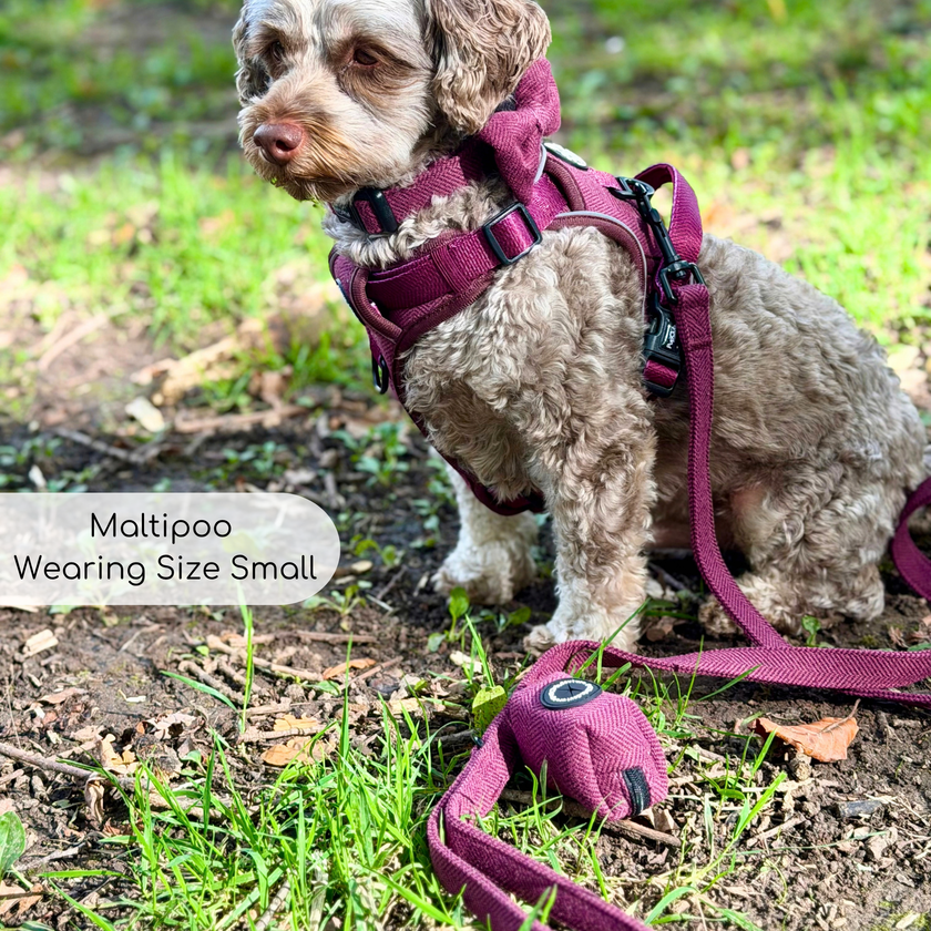 Poo Bag Holder - Berry Tweed